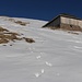 Die Alphütte La Calaz (2064m). Von hier wanderte ich wieder mit Schneeschuhen weiter denn es lag nun wieder eine durchgehende Schneedecke bis zum Gipfel der Cornettes de Bise.