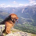 Toto enjoys the view of Valle di Blenio. 