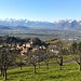 Fraxern