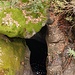 Gli orridi scavati dal fiume della Valle del Salto
