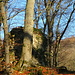 Ruine Hertenberg