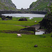 Eine der engsten Stellen des Gap of Dunloe