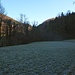 In den schattigen Talmatten ist noch alles gefroren, ...