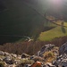 Tiefblick auf den Schemelhof.