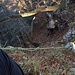 Optionale Seilpassage in die Nordflanke.