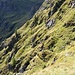 Der "Weg" zur Alpe Campo. Cooles Gelände, aber der Weg ist besser, als es aussieht...