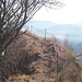 Breve cresta prima della Croce di Nasego/Savallo
