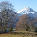 Oberhalb Châtel-sur-Montsalvens. 