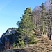 Taufwanderung. 