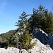 Aufstieg zum Mont Bifé. 