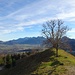Bei der Linde: Blick übers Inntal zu Hochries, Kitzstein und Kranzhorn