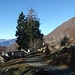 Alpe Nove Fontane