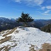 Impression am Südkamm des Risserkogels