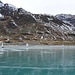 Eissegler auf dem Lago Bianco VIII.