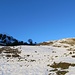 Im Bereich der Gräsalpe (1281 m) montierte ich die Schneeschuhe