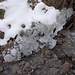 am kleinen Bächlein, kurz vor dessen Einmündung in den Narebach, sind gefällige Eisstrukturen auszumachen