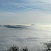 Hegauvulkane im Nebelmeer. Während unserer Pause konnten wir am Hohenkrähen das Steigen der Hochnebeldecke beobachten