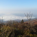 Il lago di Varese nella nebbia