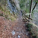 Rückweg