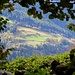 Durchblick
