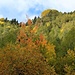 Herbst