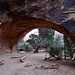 Navajo Arch
