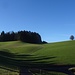 Emmentaler Hügellandschaft 2 - mit Einzelbaum ...