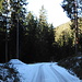 In a few places the road was covered with snow or ice, but...