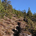 The unmarked trail through Arsa Pintga