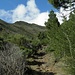 Aufstieg durch das Tal zwischen Pico Verde und Gran Gala