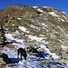 Blicj hinauf beim Bassa di Söu (2443m) zum breiten Ostsüdostgrat vom Le Pipe. Diese ist oberhalb des Passes zuerst steil, danach legt es sich zum Gipfel hin deutluch zurück. Lediglich die obersten Meter zum Le Pipe (2667m) sind schlussendlich wieder etwas steiler.