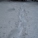 unsere Spuren im 50 cm hohen Schnee