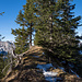 Unterwegs zum Golderehorn