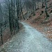 Il lungo sentiero da Cinquevie al Roccolo in direzione Curiglia.