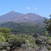 Blick zum allgegenwärtigen Teide und das große Waldgebiet davor