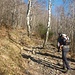 Il sentiero sale in un bel bosco di Betulle.... se non fosse che sono spoglie potrebbe essere aprile per il clima che troviamo!!
