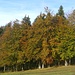Herbstfarben auf der Wüesthöchi