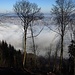 Halb Zürich liegt im Nebel