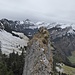 auf dem Gipfel, Aussicht zum Alpstein