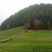 hinter diesem Waldgupf befindet sich der Rotsteinkofel
