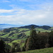 Blick auf den Bachtel und Zürichsee