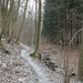 Wanderpfad im Großen Kohlbachtal