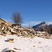 L'Alpe Arami con il Pizzo di Claro.
