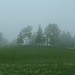 Nebel verleiht der Juralandschaft einen besonderen Reiz