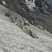Gletscherspalte vor Ortlerblick