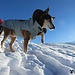 fa un po frescolinio oggi sulla neve!