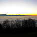 Sonnenuntergang über dem Meer des Nebels, unter dem sich der Bodensee versteckt. Links setzt sich der Alpstein und benachbarte Schweizer Berge in Szene.<br />Das Warten hat sich gelohnt 1.<br />