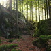 Märchenwald bei Mitholz
