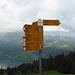 Signpost at Schwarzenegg.