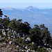 Blick hinueber zur Sierra de Grazalema mit dem Torreon (1648m), den man anscheinend nur mit schrifl. Genehmigung besteigen kann. [http://www.hikr.org/gallery/photo1340844.html?post_id=75380#1 Blick] aus der anderen Richtung vom Cerro del Simancon (1569m), den ich vor 2 Jahren schon mal bestiegen hatte.